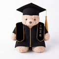 Graduation Teddy Bear 2026