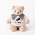 Jetour Teddy Bear